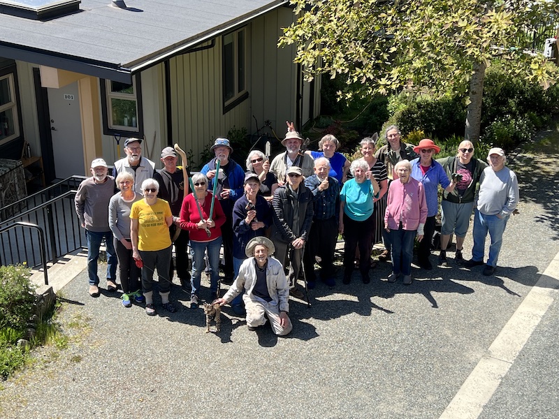 Harbourside community work bee May 2022 Harbourside community work bee May 2022